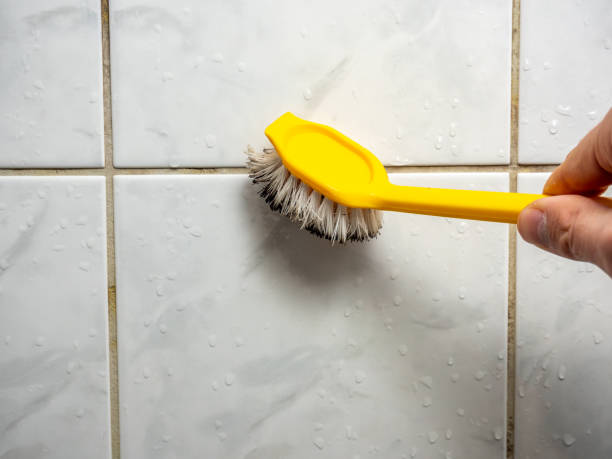  Walters, OK Mold Removal Pros