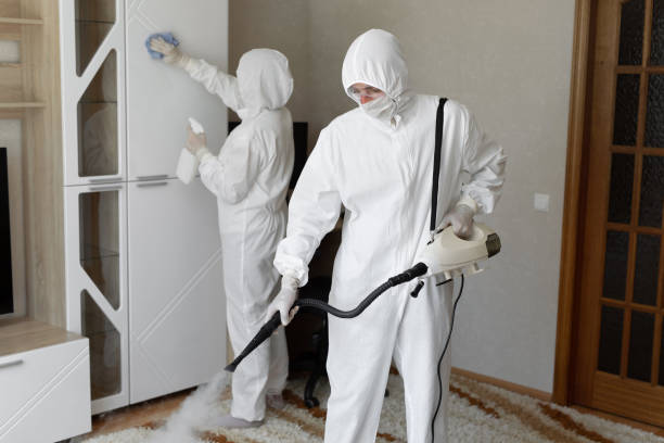 Best Industrial Mold Remediation in Walters, OK
