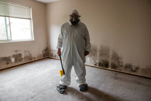 Best Bathroom Mold Remediation in Walters, OK
